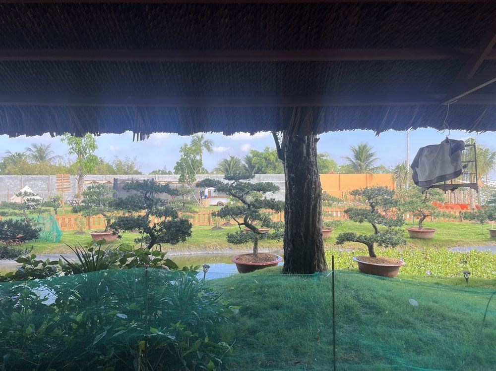 Vườn cảnh bên hồ nước